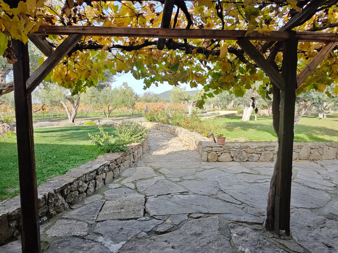 Olianas-Gergei必去景点