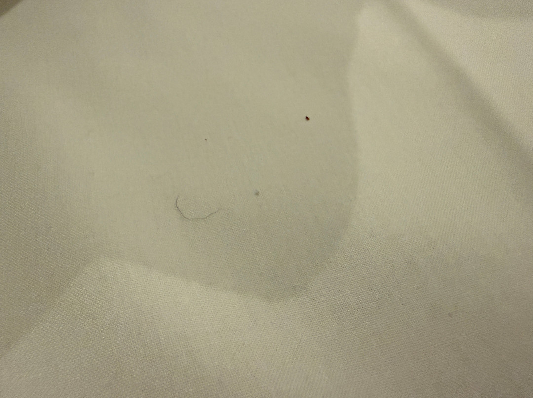 Trip Inn Conference, Hotel & Suites主图