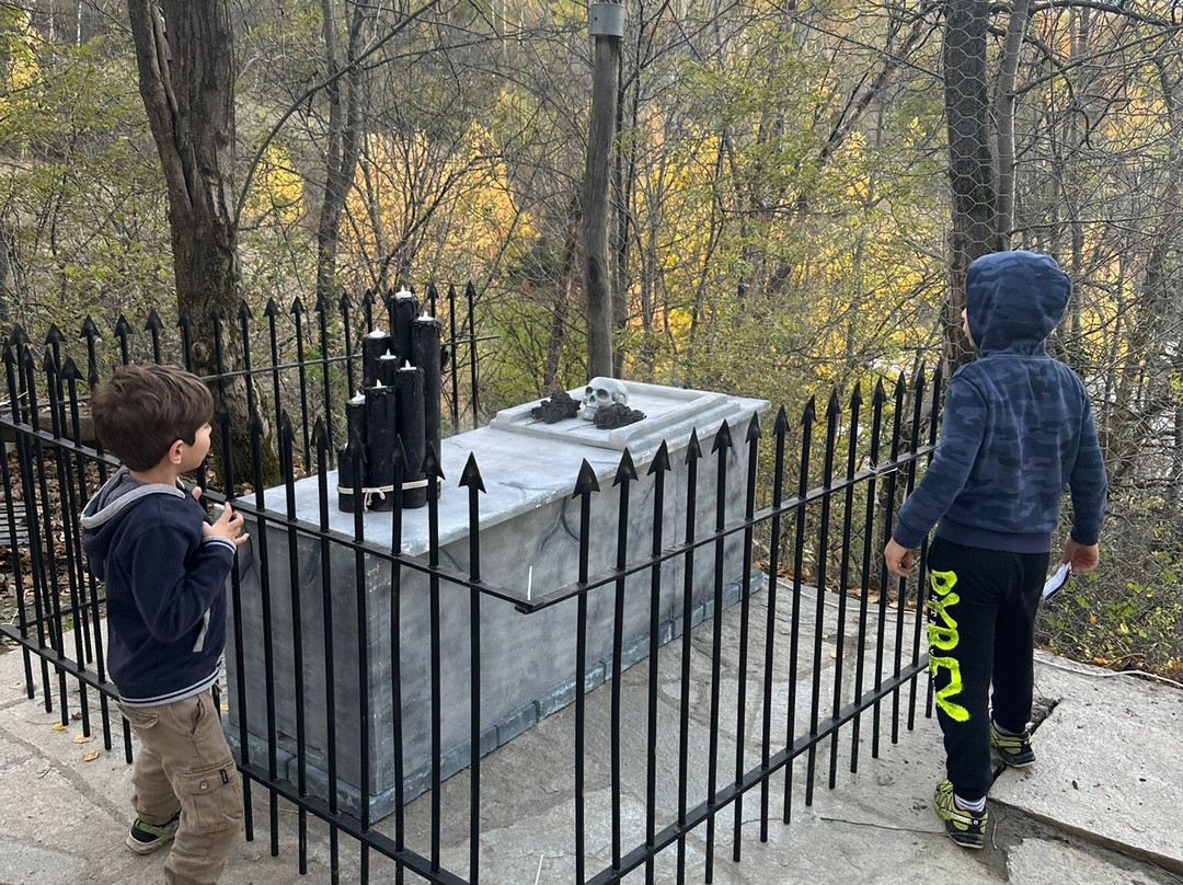 Parc Animalier d'Introd-Introd必去景点