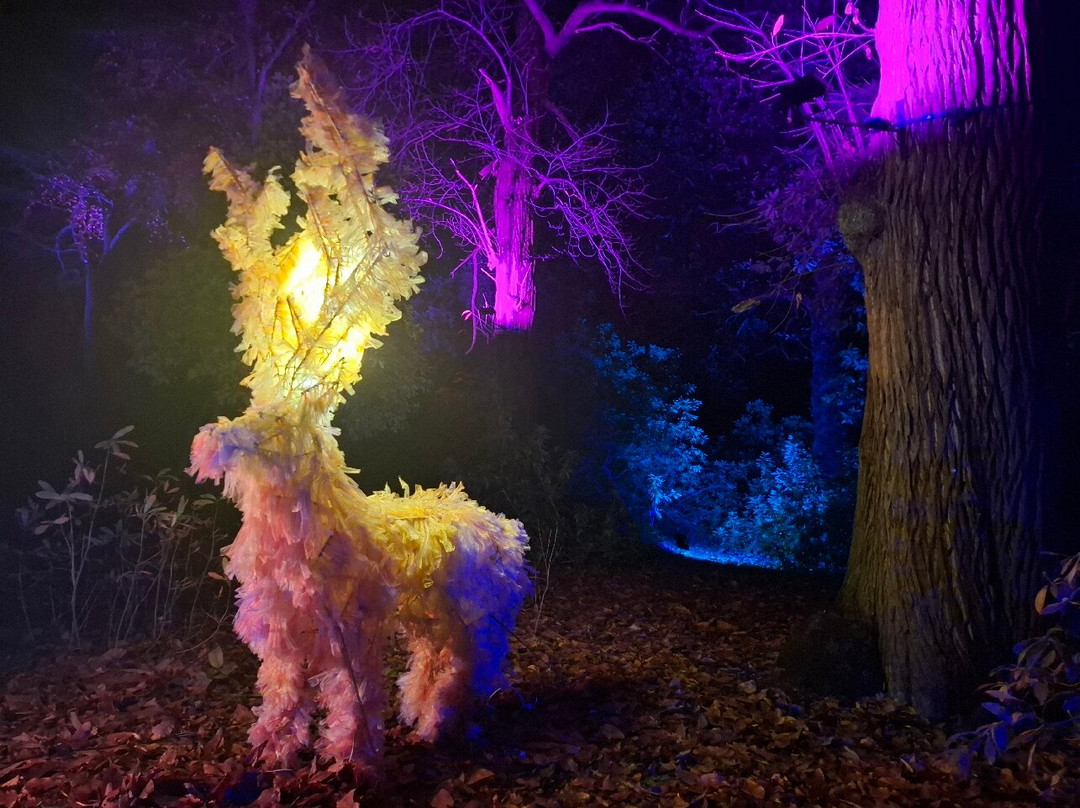 Tatton Park-纳茨福德必去景点