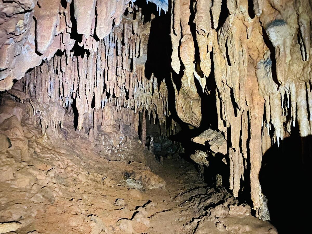 Sima de las Cotorras-恰帕斯必去景点