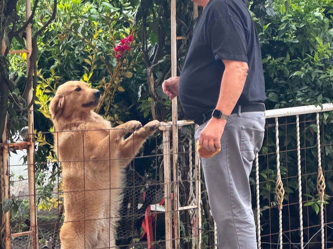 La Cuadra Hotel主图