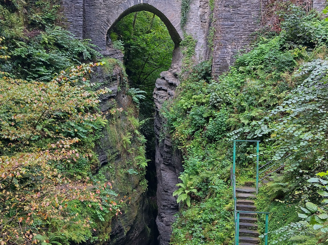 Vale of Rheidol Railway-阿伯里斯特威斯必去景点