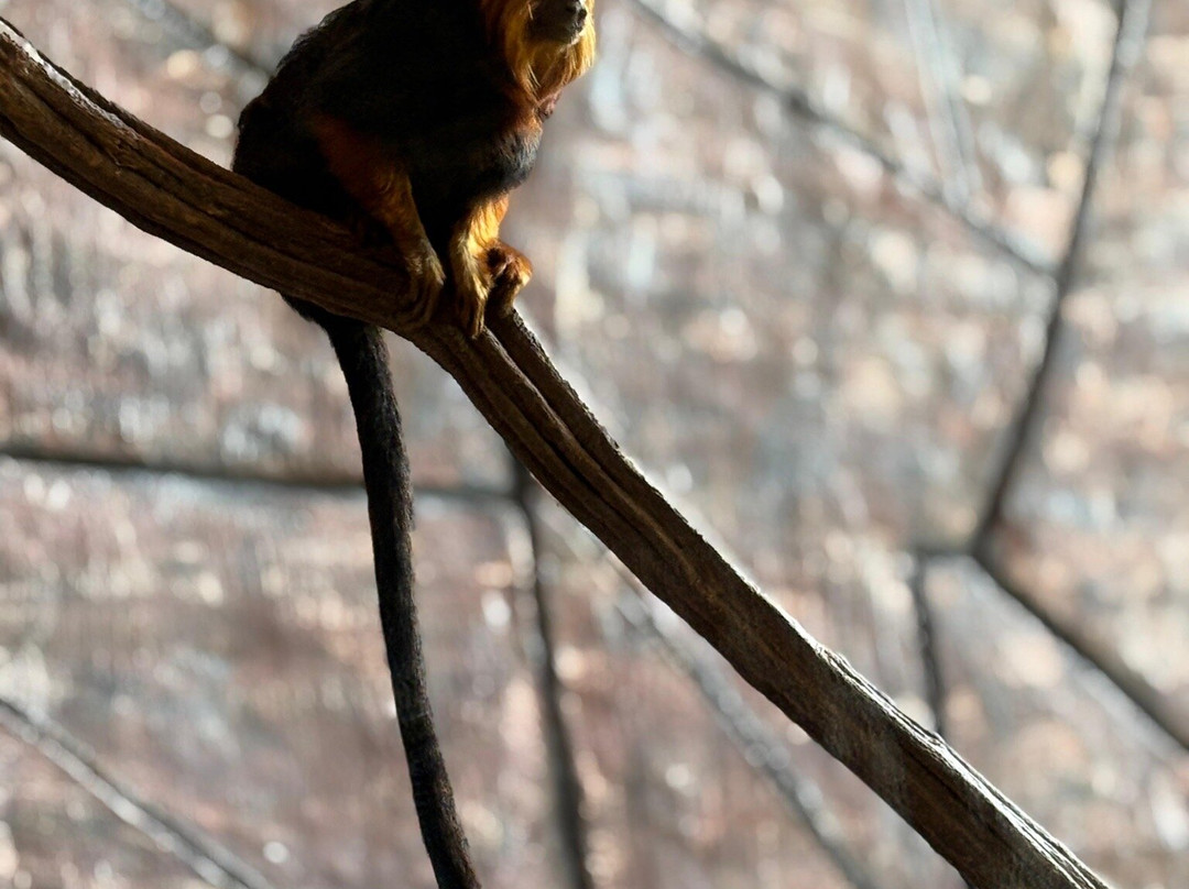 Ecopark Sol e Mar-Maragogi必去景点