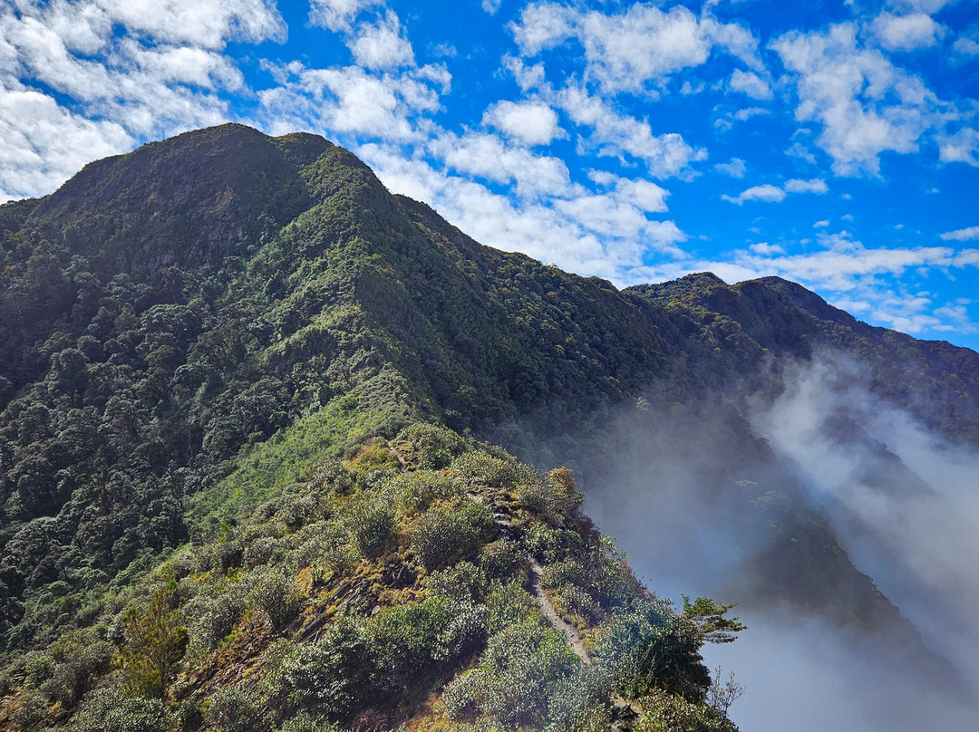 Zonitrip - Day Tours-Yen Bai必去景点