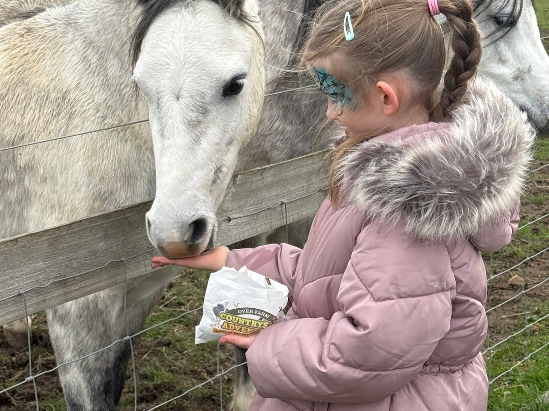 Over Farm-格洛斯特必去景点