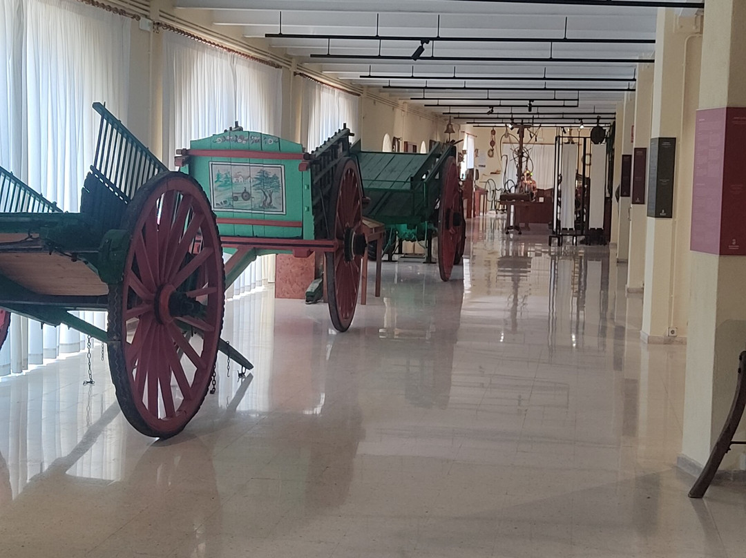Palaeontology Museum of Estepona-埃斯特波纳必去景点