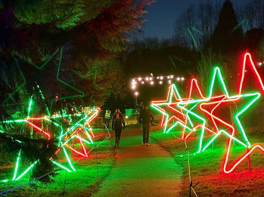 Bedgebury National Pinetum And Forest-Goudhurst必去景点