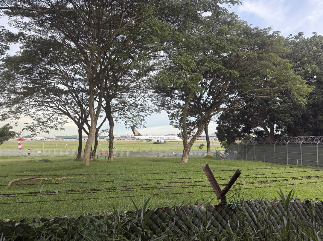 Cosford Container Park-新加坡必去景点