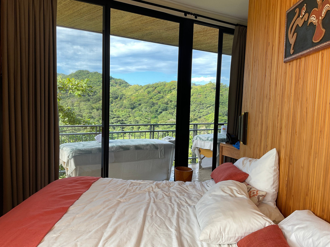 Suitree Experience Hotel Costa Rica主图