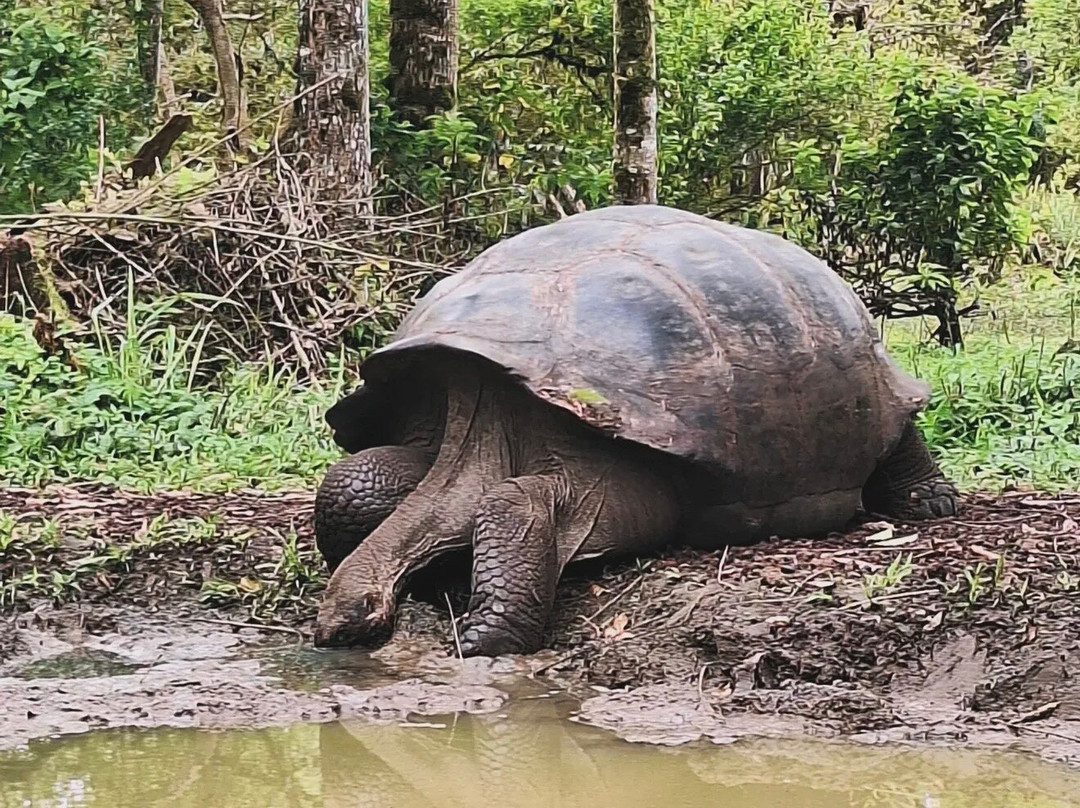 Cruise In Galapagos-阿约拉港必去景点