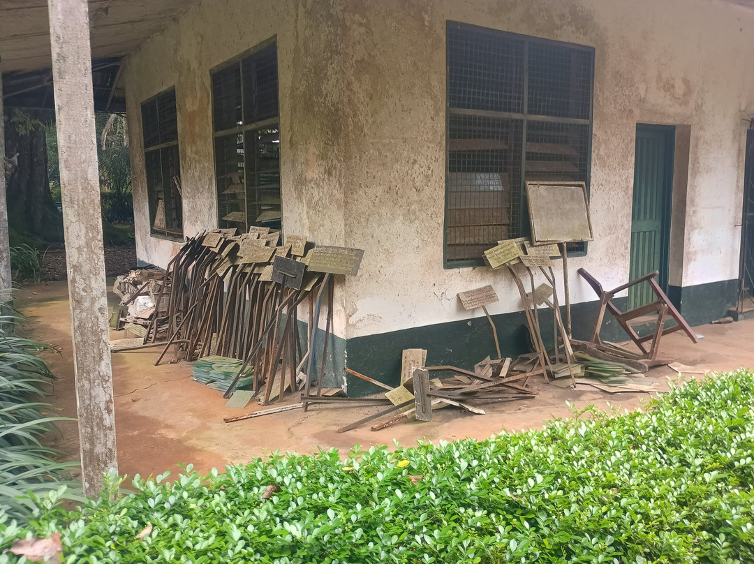 Aburi Botanical Gardens-Aburi必去景点