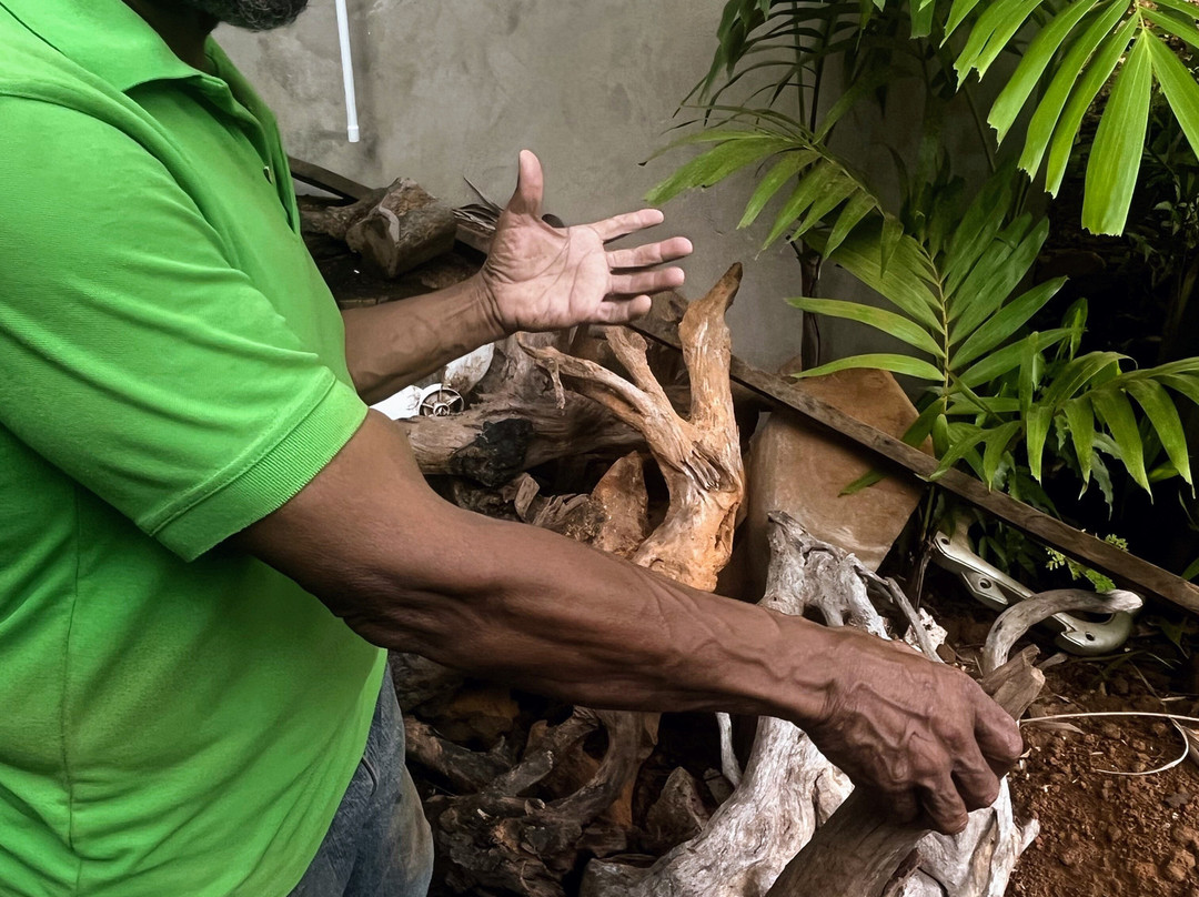 Medford Craft World-布里奇顿必去景点