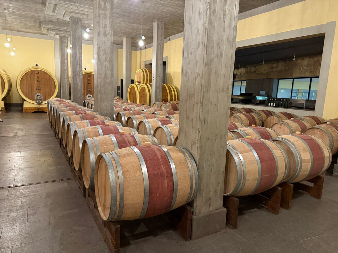 Altesino-蒙塔尔奇诺必去景点