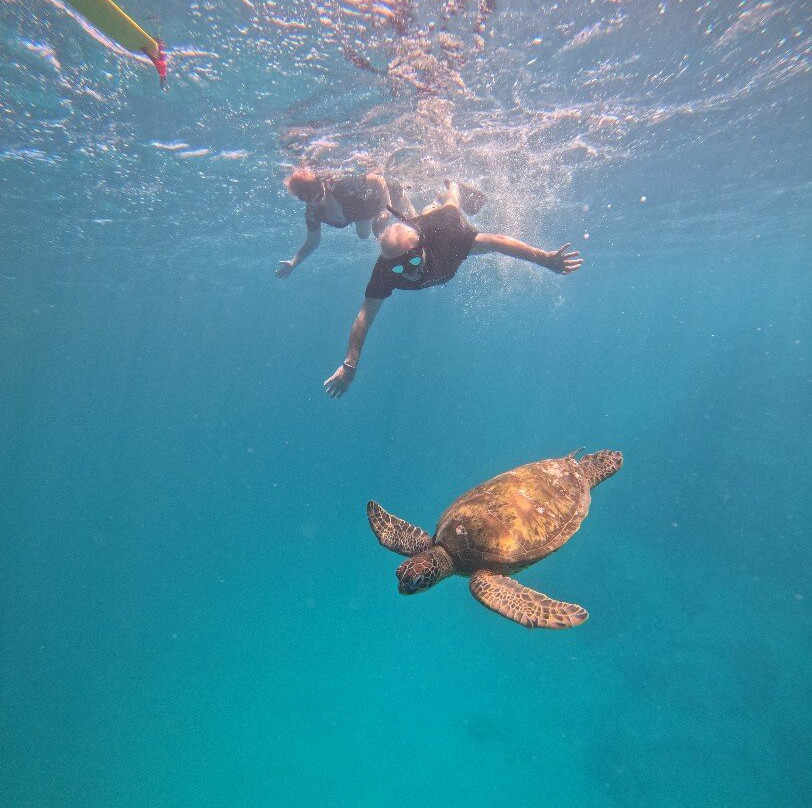 Sea Pace Rarotonga-堤堤卡维加必去景点