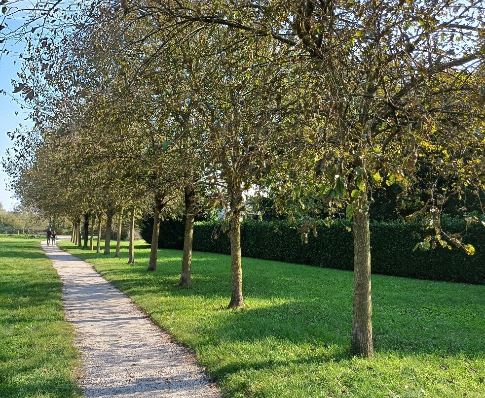 Laghetto di Giussano-Giussano必去景点