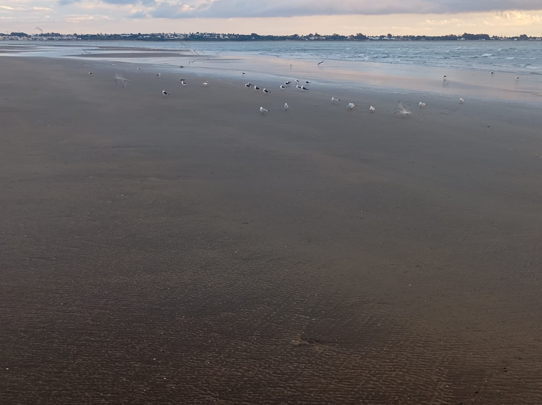 Donana Visitas-El Rocio必去景点