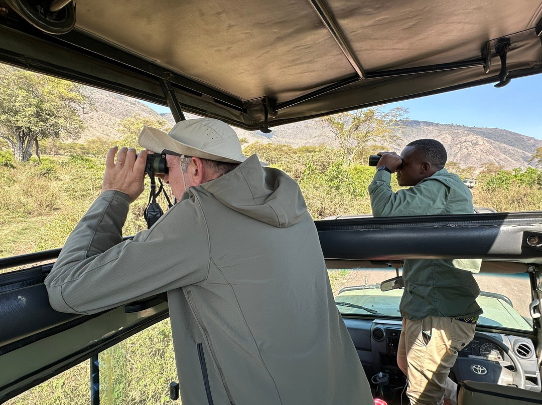 African Scenic Safaris-莫西必去景点