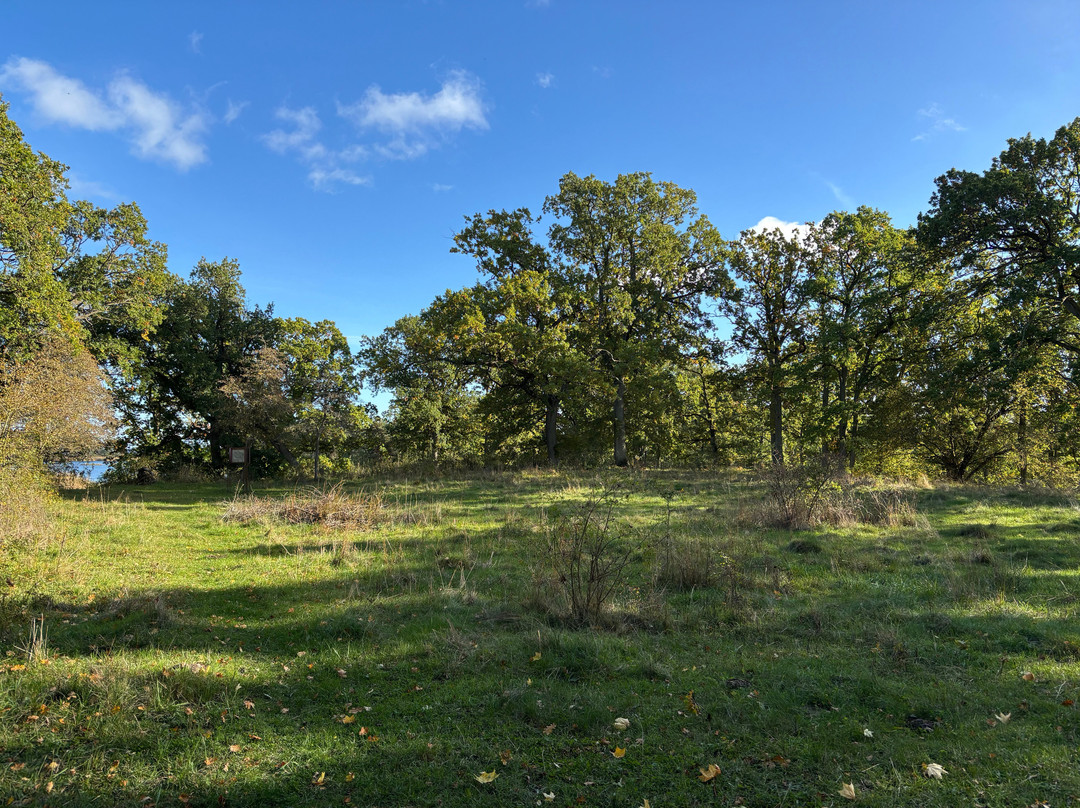 Brömsehus-Bergkvara必去景点