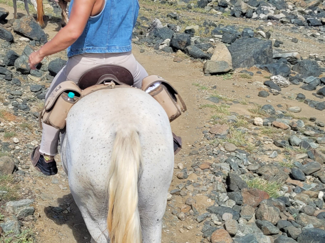 Rancho Loco-Santa Cruz必去景点