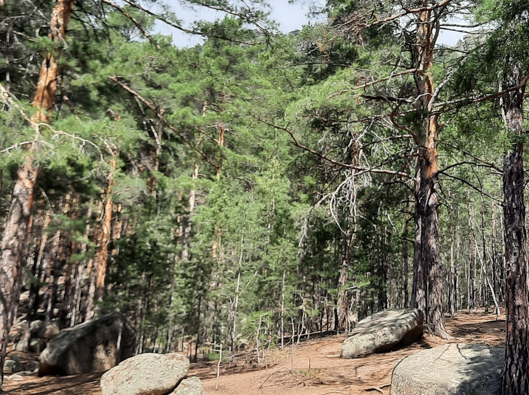 Victoria Cinema-摩德纳必去景点