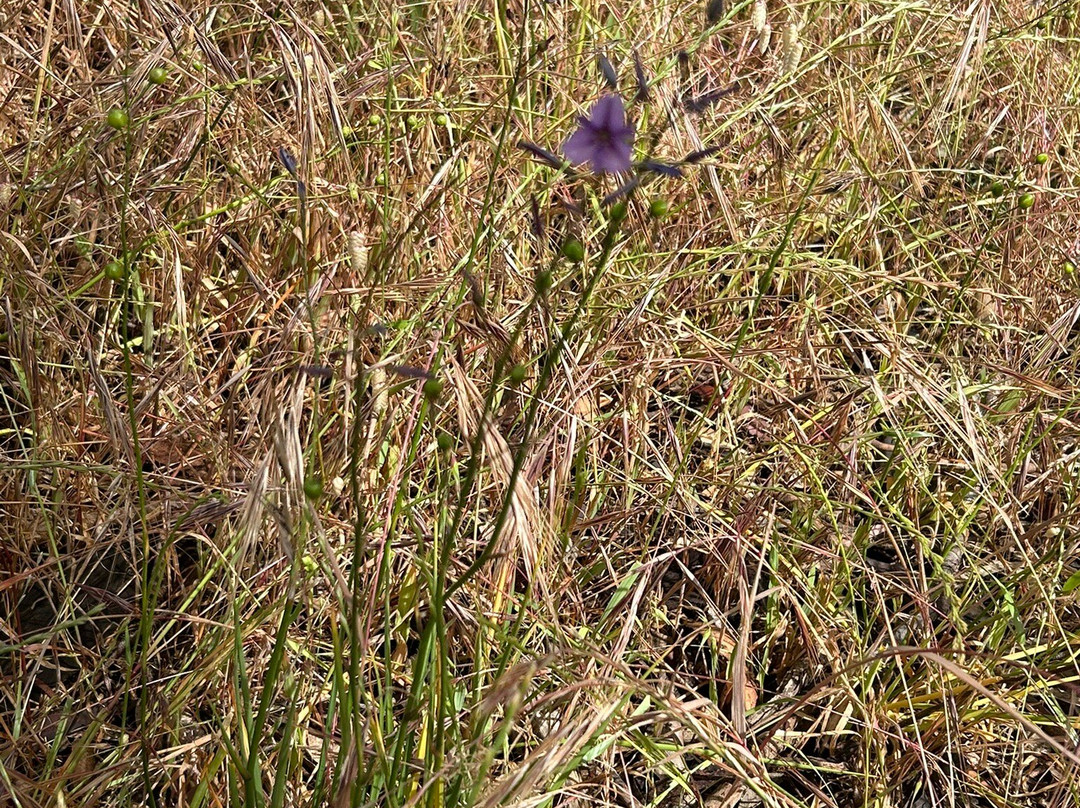 Lake Fyans-贺思盖必去景点
