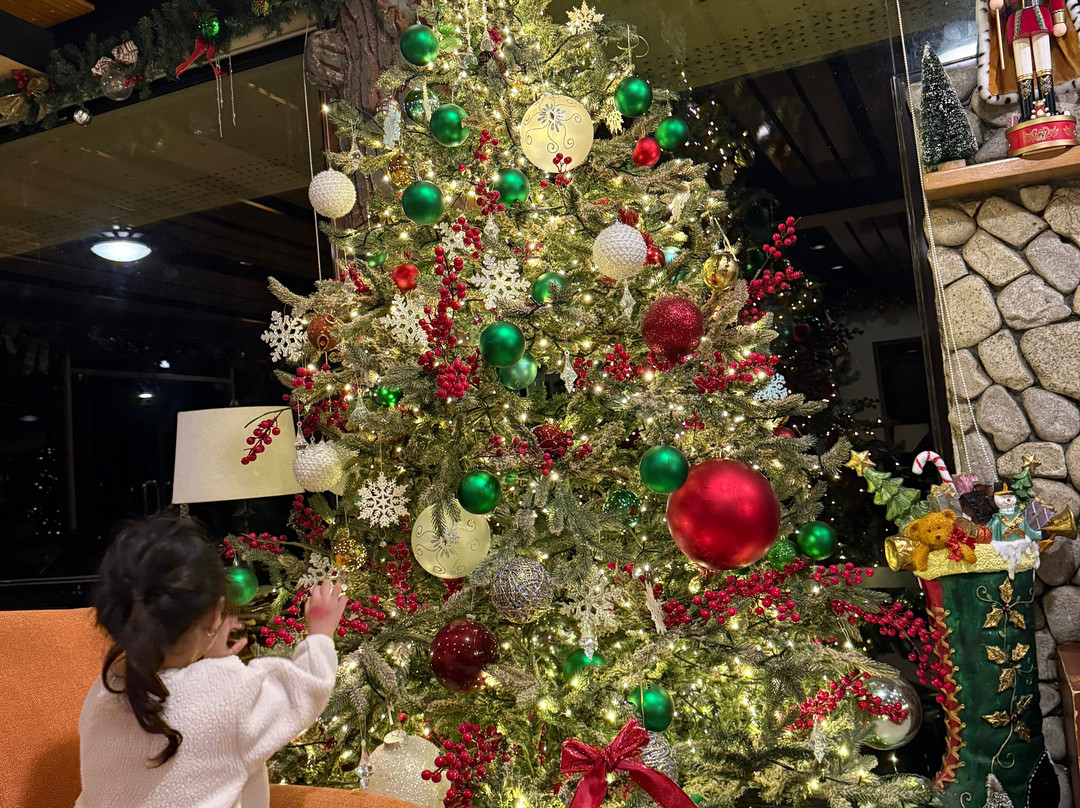 Dahilayan Forest Park Resort主图