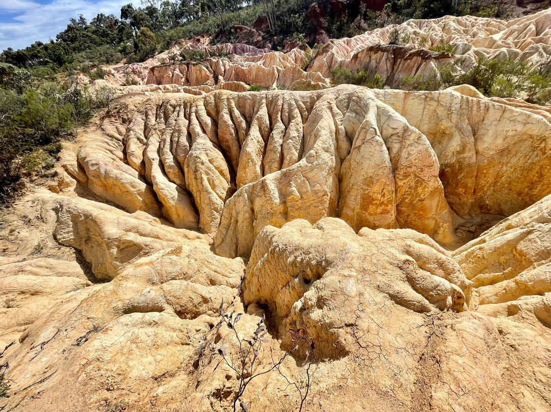 Pink Cliffs-Heathcote必去景点