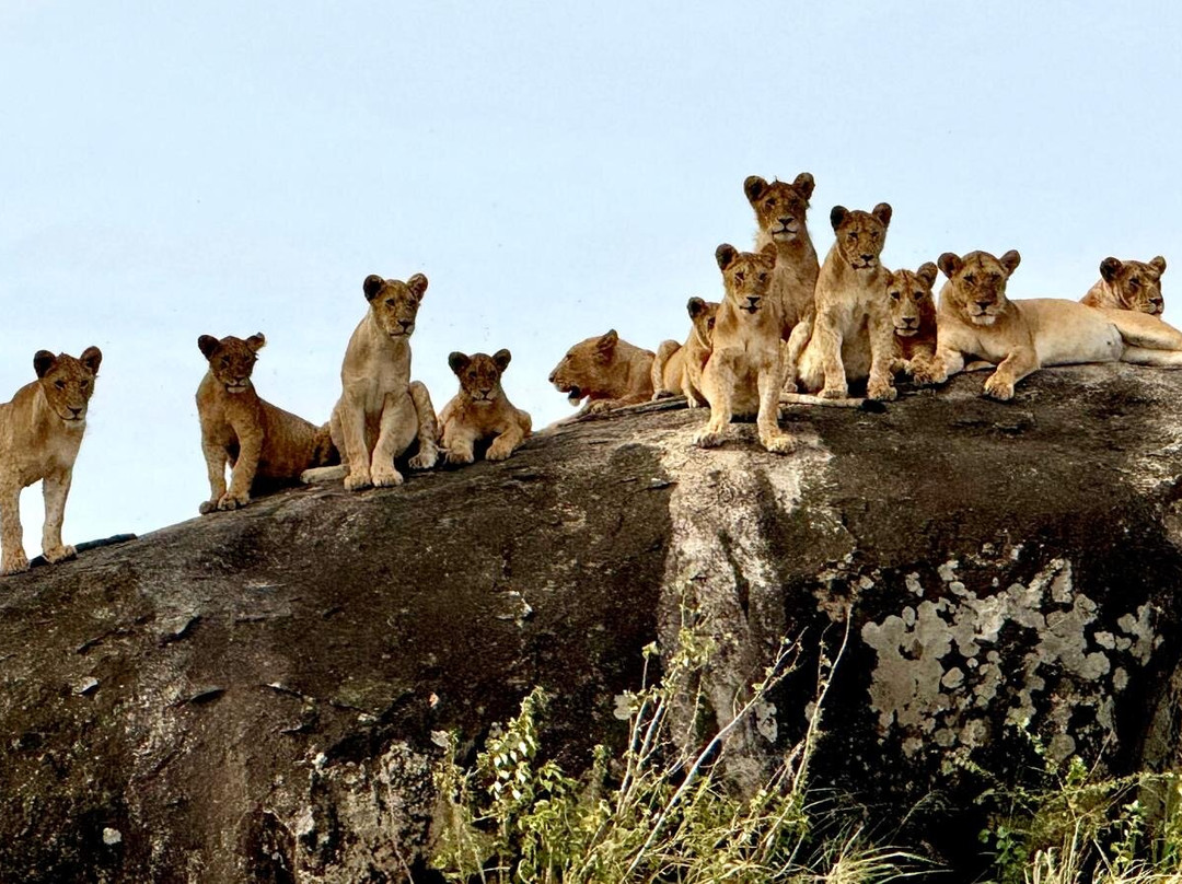 Altezza Travel-莫西必去景点