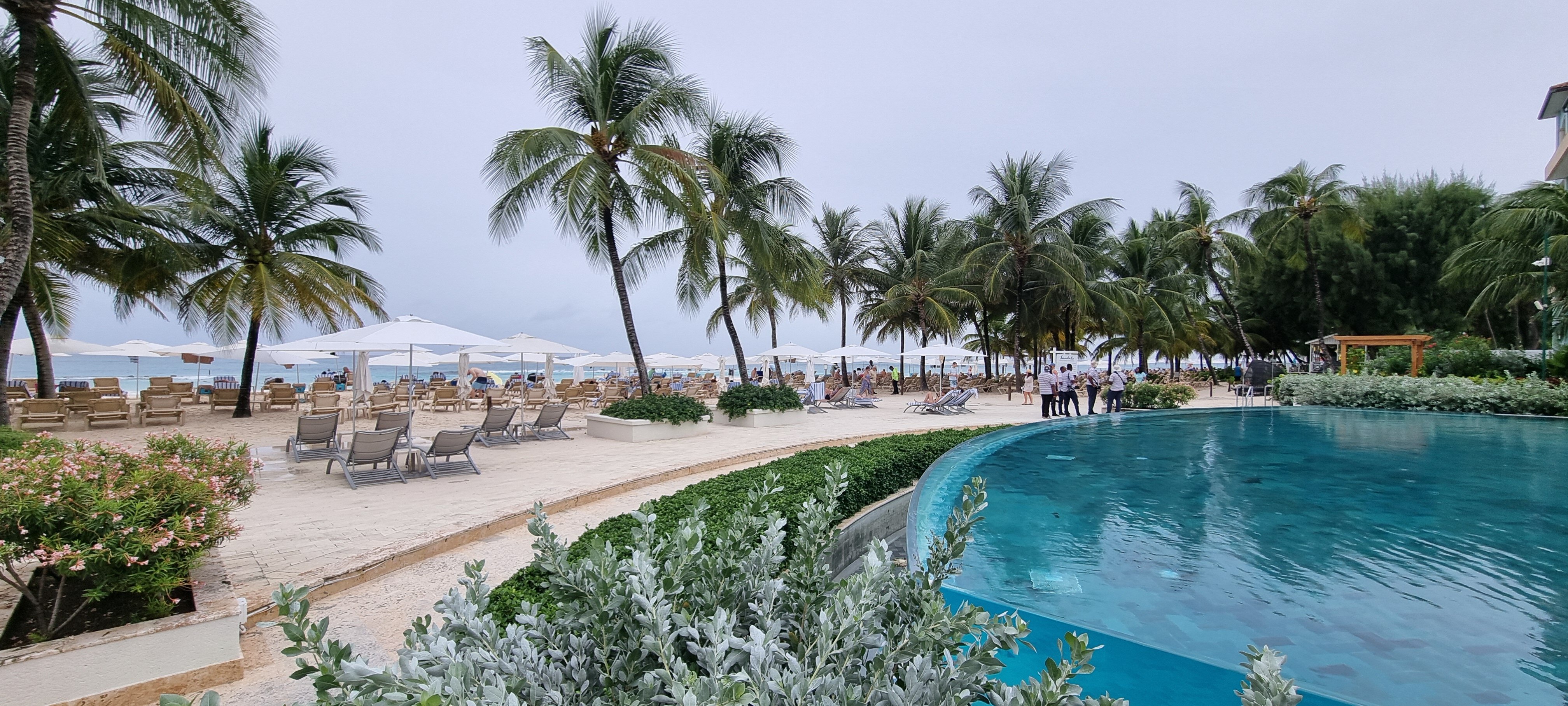 Sandals Barbados-泳池