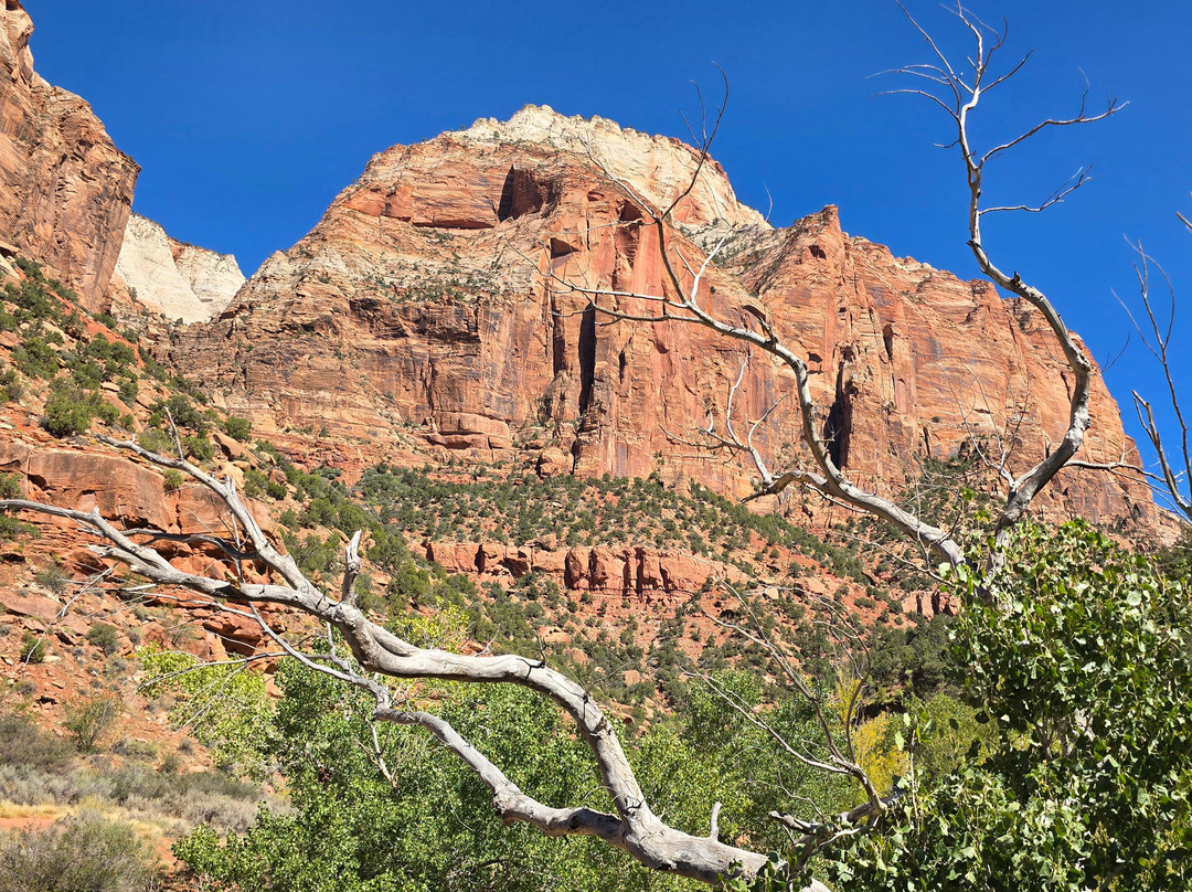 Zion - Mt. Carmel Highway-锡安国家公园必去景点
