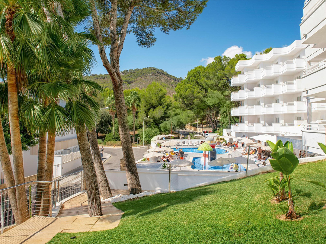 allsun Hotel Paguera Park主图