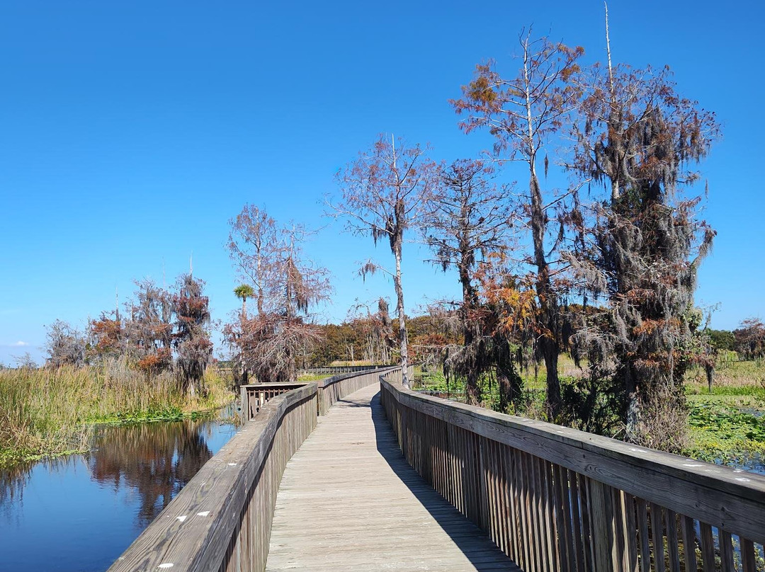 Orlando Wetlands-Christmas必去景点