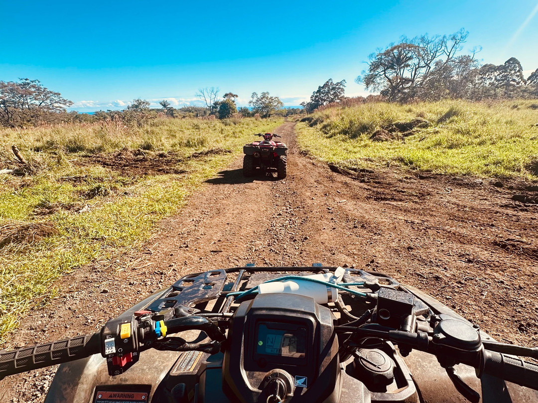 Ohana Ranch-山景城必去景点