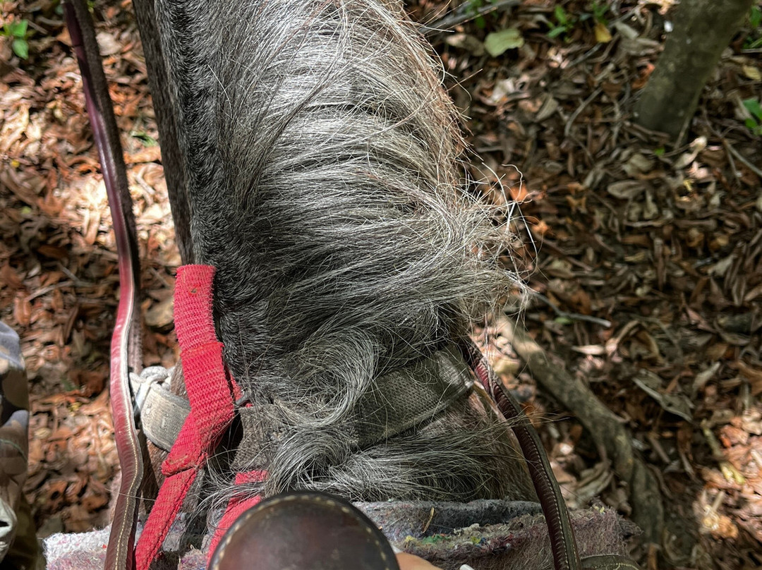 Finca La Esperanza-萨迪纳尔必去景点