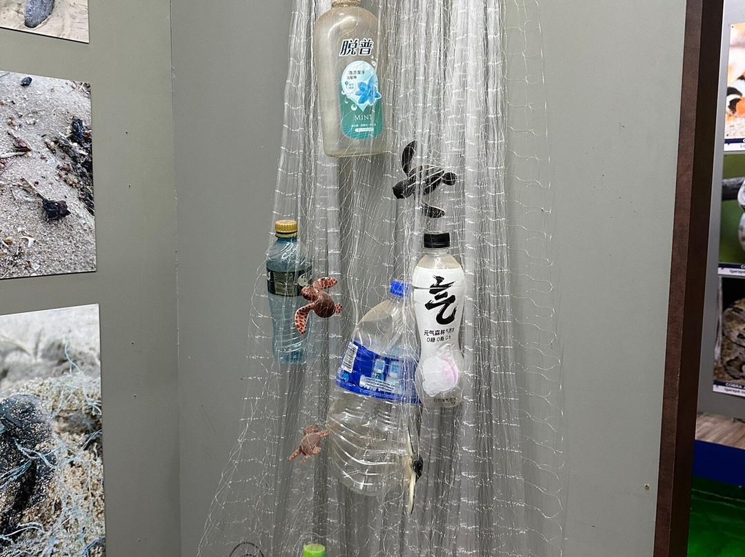 Museu Do Mar Delta Do Phb-Parnaiba必去景点