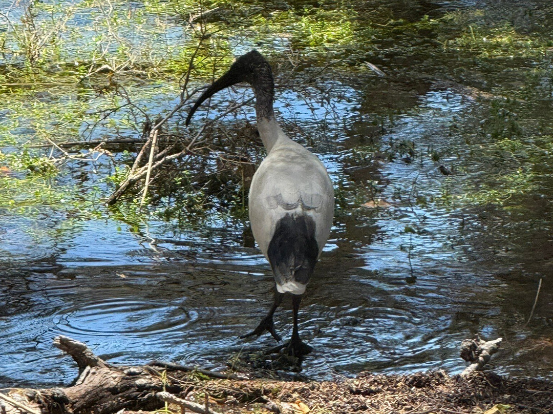 Neil Hawkins Park-Joondalup必去景点