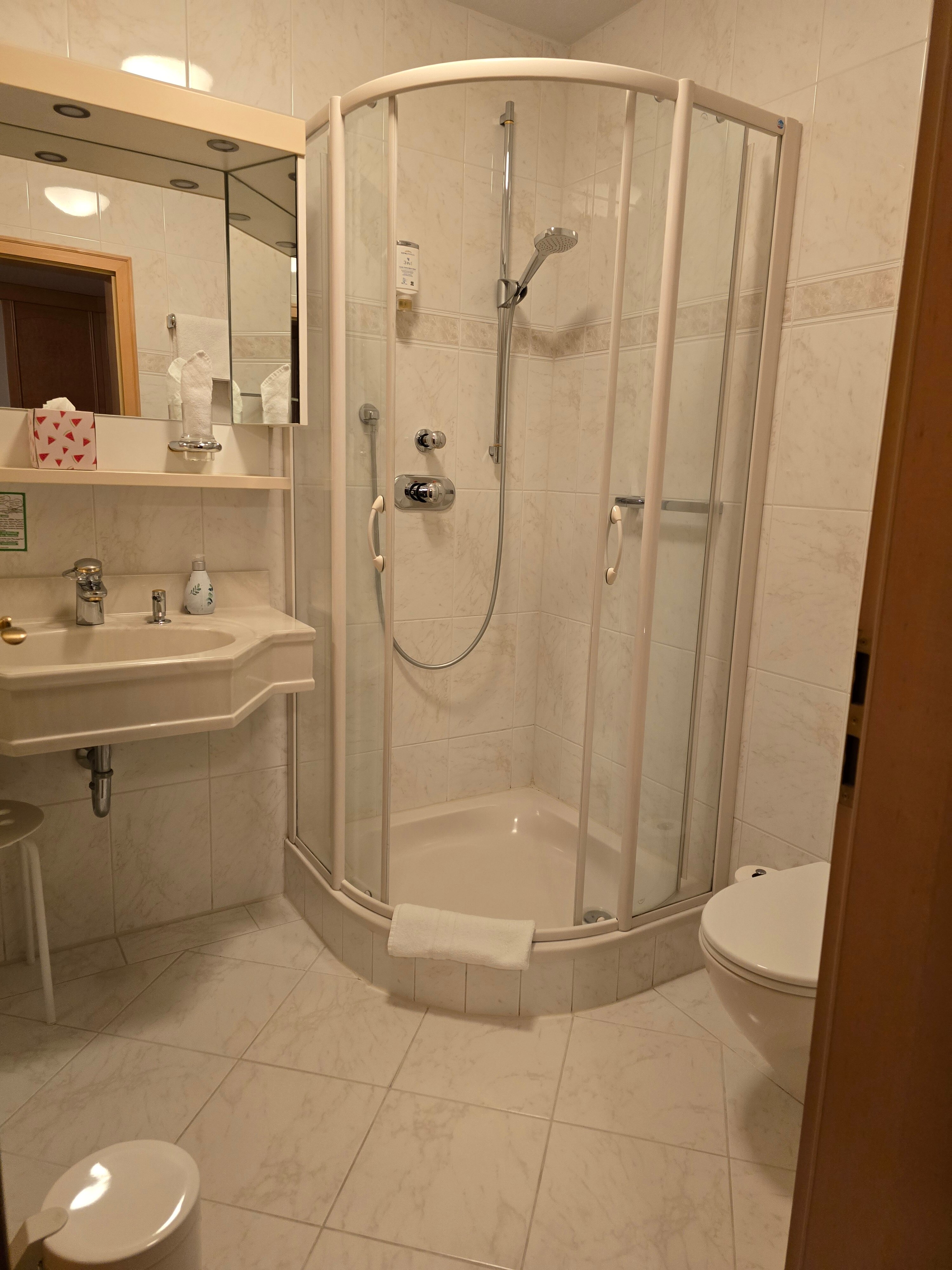 Hotel-Restaurant Hirsch Berghaupten-浴室