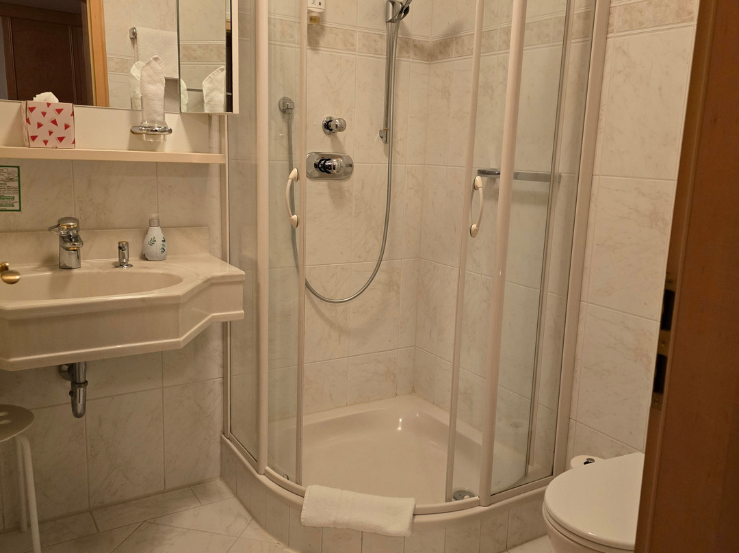 Hotel-Restaurant Hirsch Berghaupten主图