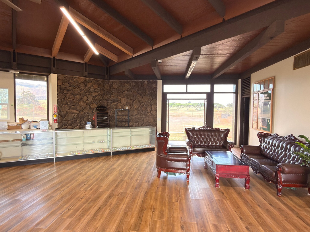 夏威夷乡村俱乐部-瓦西瓦必去景点