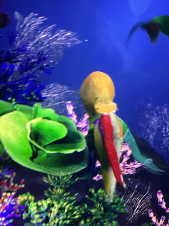 ARTE MUSEUM DUBAI-迪拜必去景点