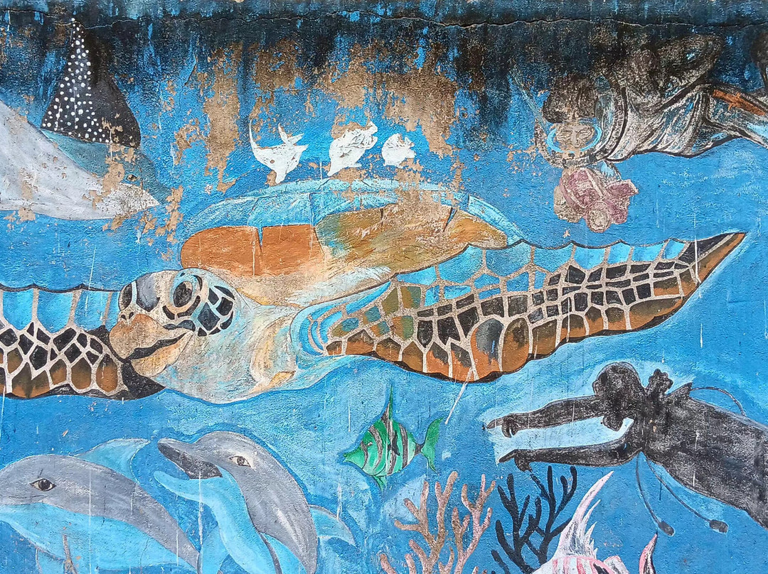 Alka Tour OF Mind-Thanamalwila必去景点