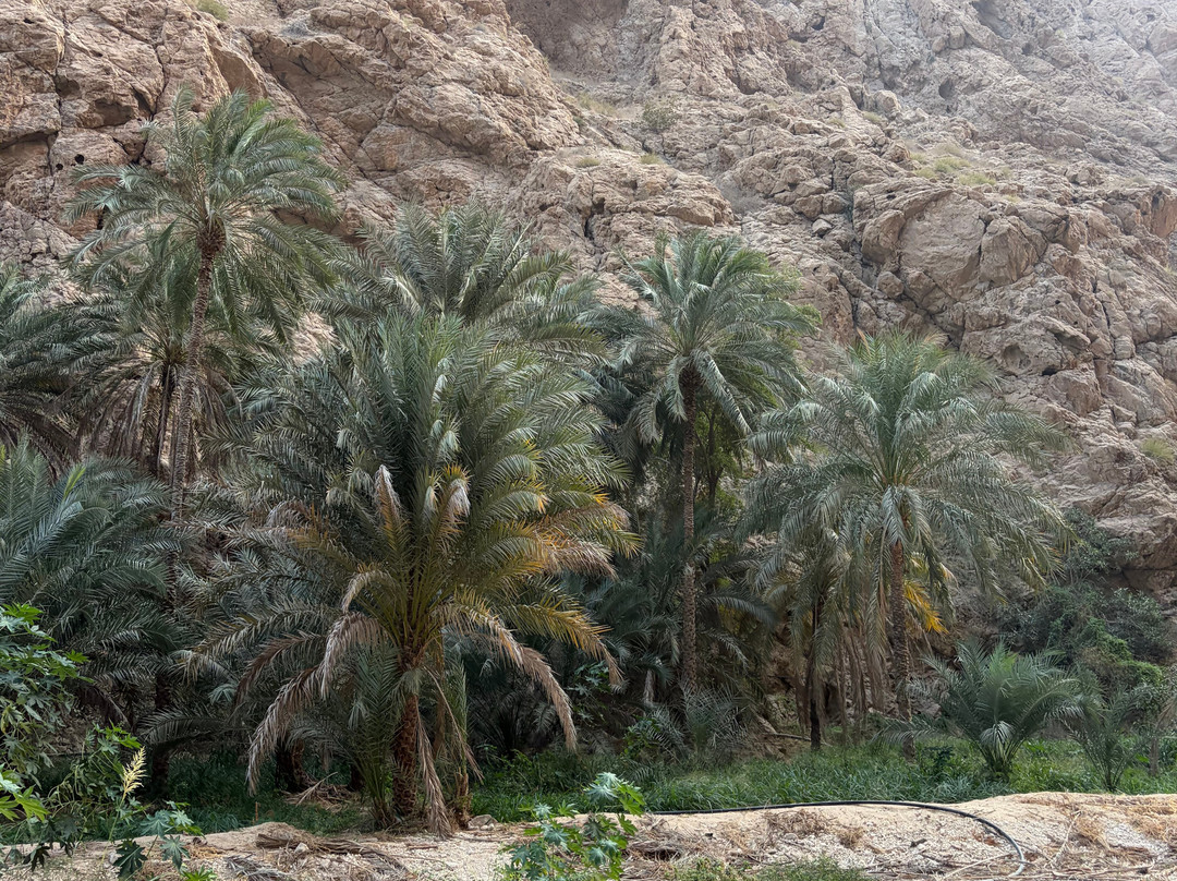Wadi Tiwi Mibam Adventure-提维必去景点