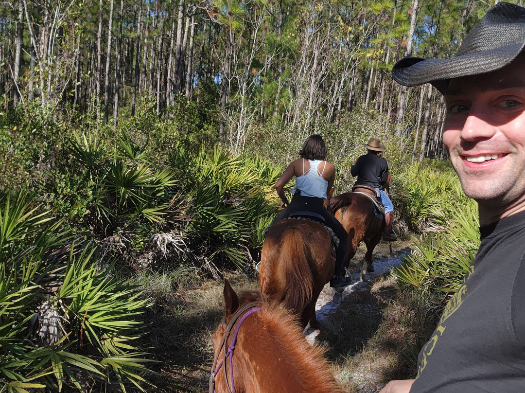 Equestrian Adventures of Florida-代托纳比奇必去景点