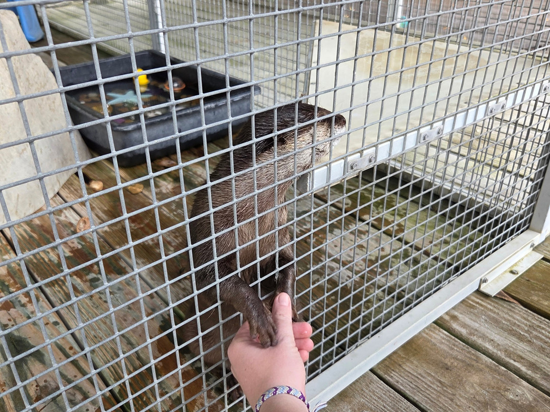 TGR Exotics Wildlife Park-斯普林必去景点