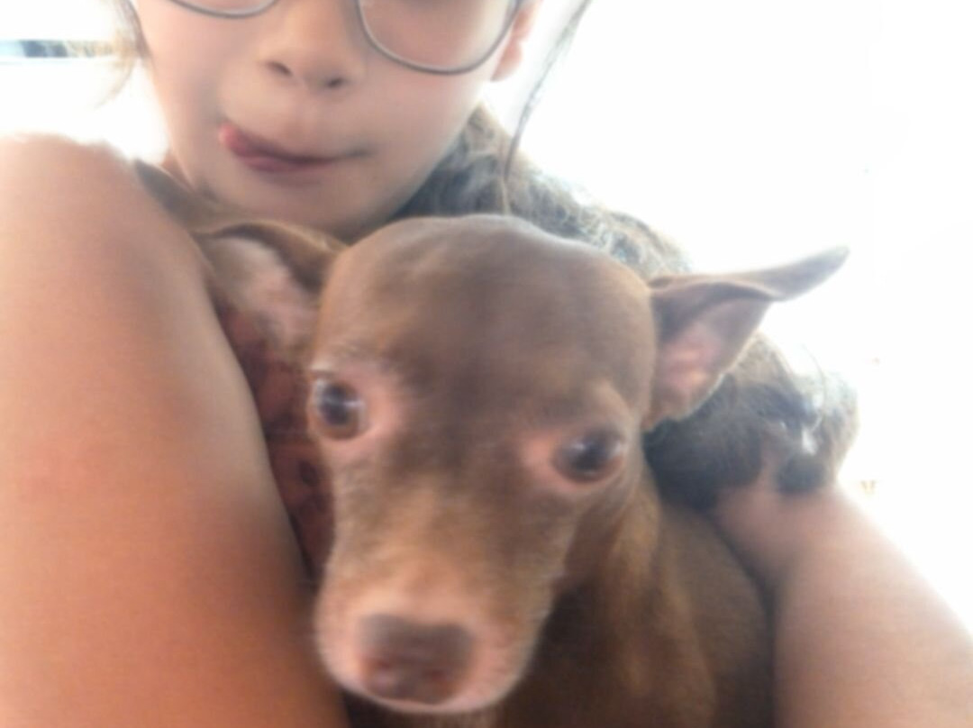 Imhotep Alabaster Luxor-卢克索必去景点