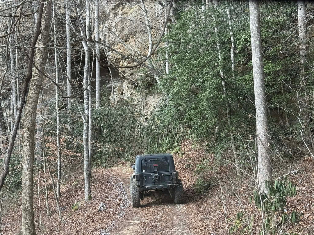 Rock Bottom Adventures Llc-Campton必去景点