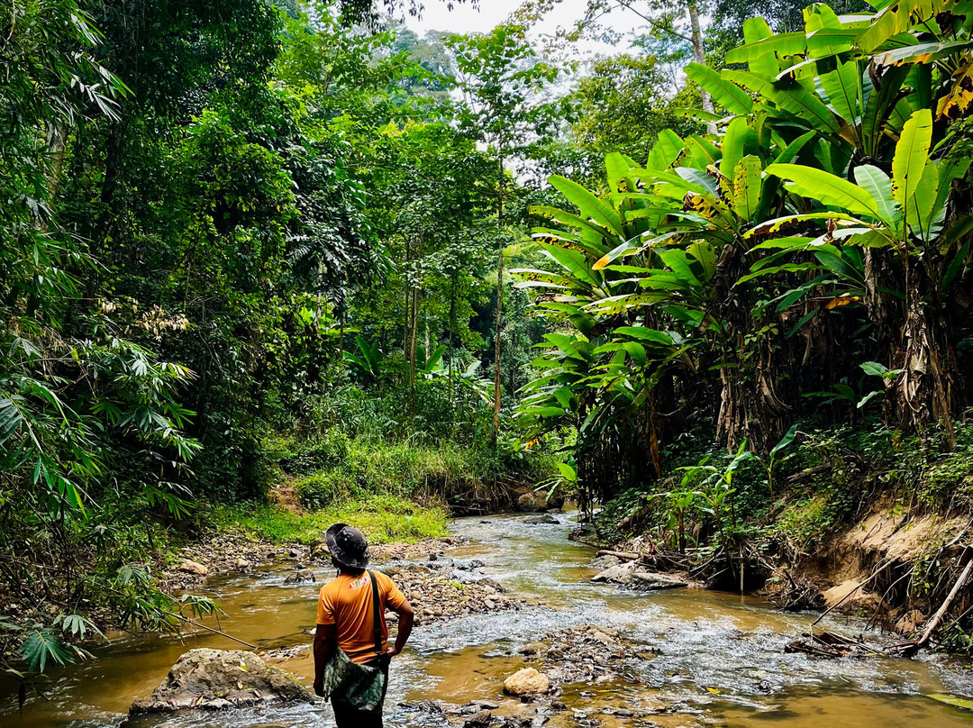 Chiang Mai Eco Trekking-清迈必去景点