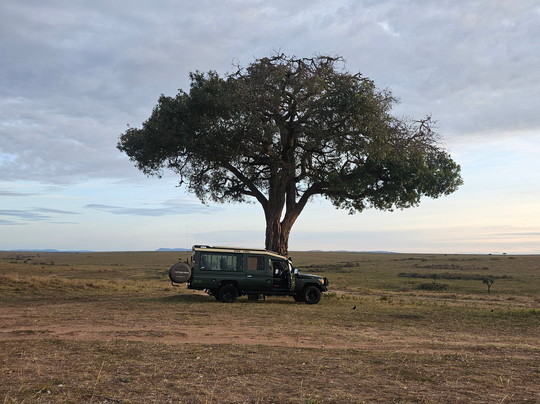 Capture Kenya Expeditions-内罗毕必去景点
