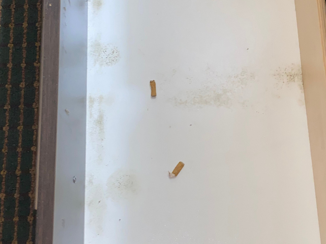 Red Roof Inn & Suites Hermitage主图